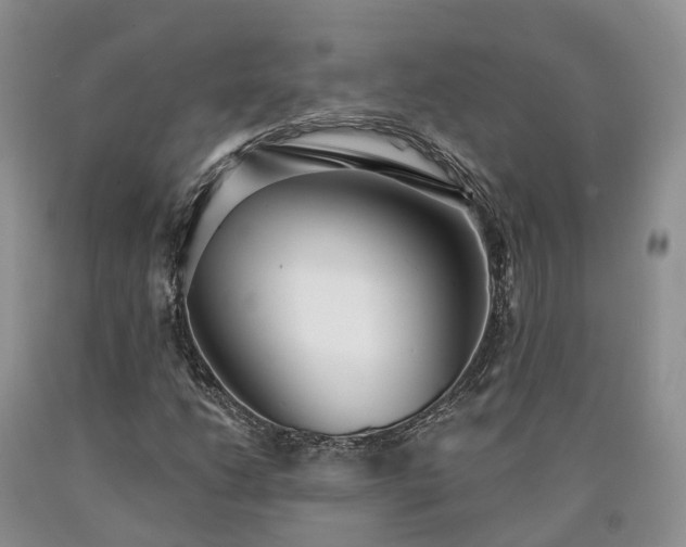 X0000090461206200707201327