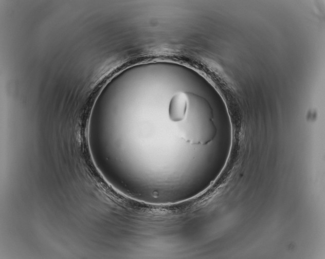 X0000090461209200707201327