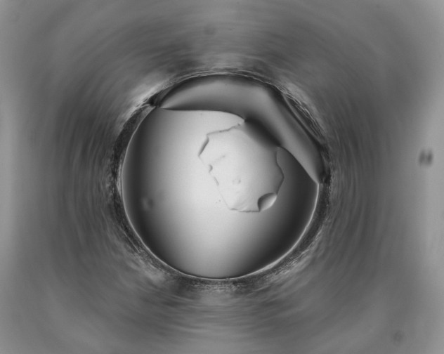 X0000090461210200707201327