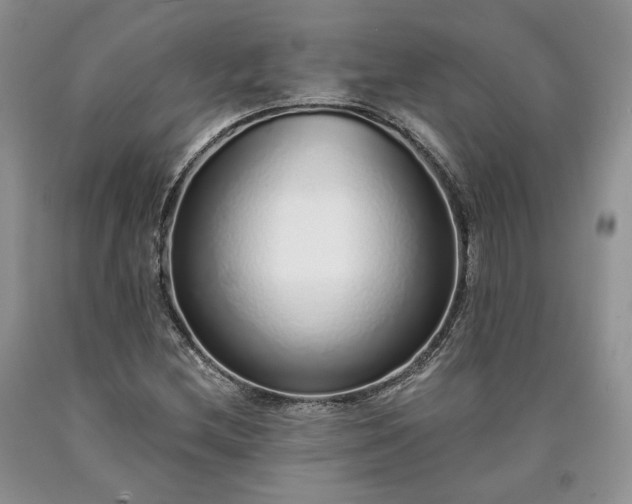 X0000090461212200707201327