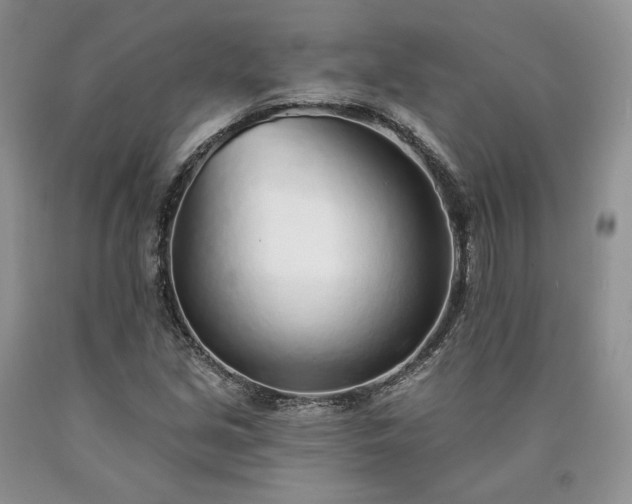 X0000090461213200707201327