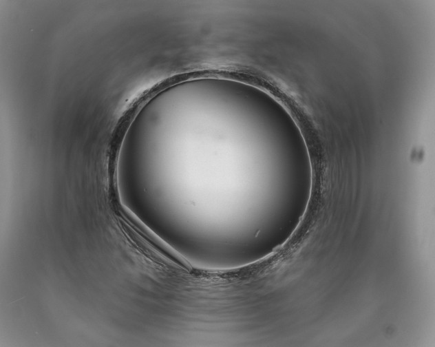 X0000090461214200707201327