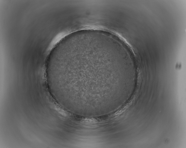 X0000090461215200707201327
