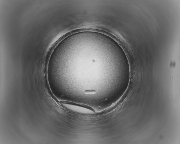X0000090461216200707201327