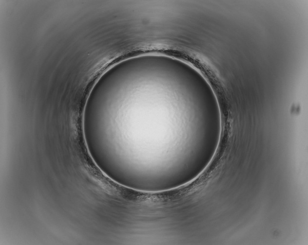 X0000090461217200707201327