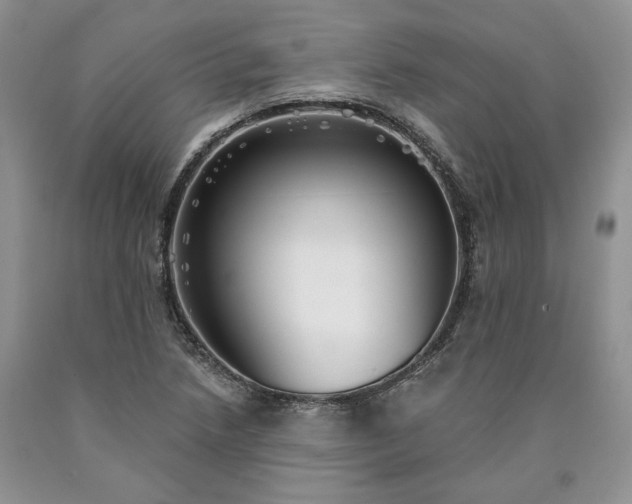 X0000090461218200707201327