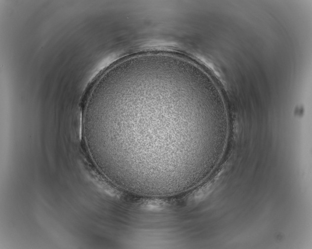 X0000090461219200707201327