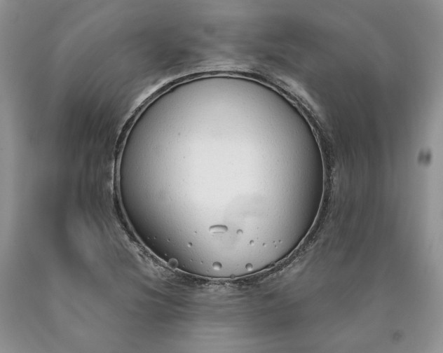X0000090461220200707201327