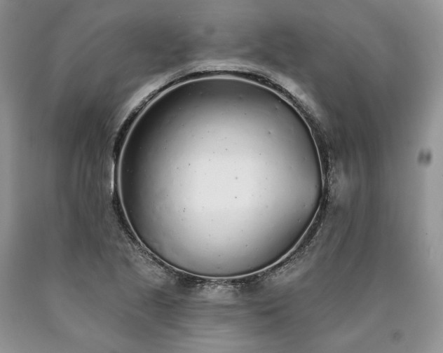 X0000090461221200707201327