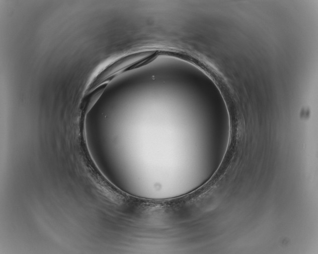 X0000090461222200707201327