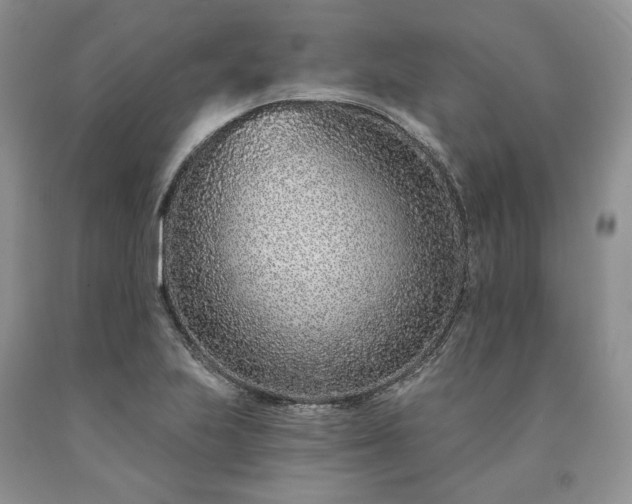 X0000090461223200707201327