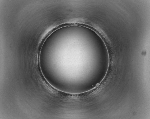 X0000090461224200707201327