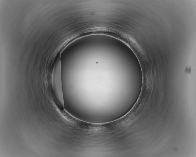 X0000090461225200707201327