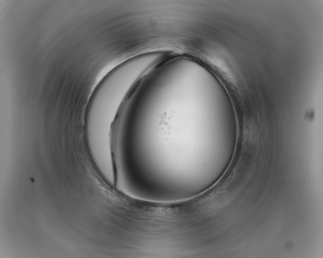 X0000090461226200707201327