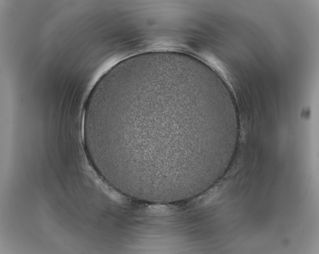 X0000090461227200707201327
