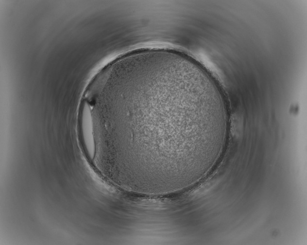 X0000090461229200707201327