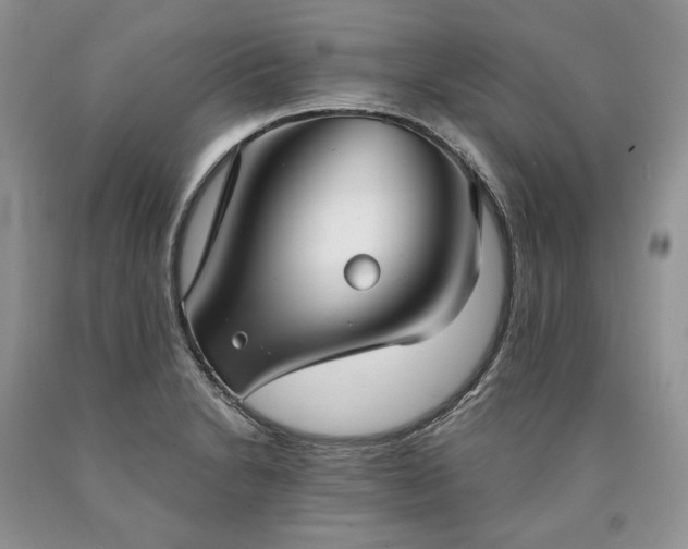 X0000090461230200707201327