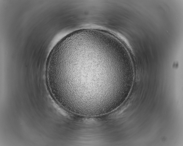 X0000090461231200707201327