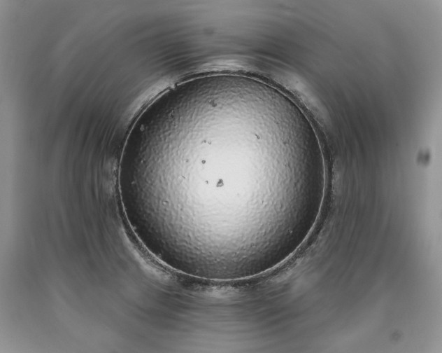 X0000090461233200707201327