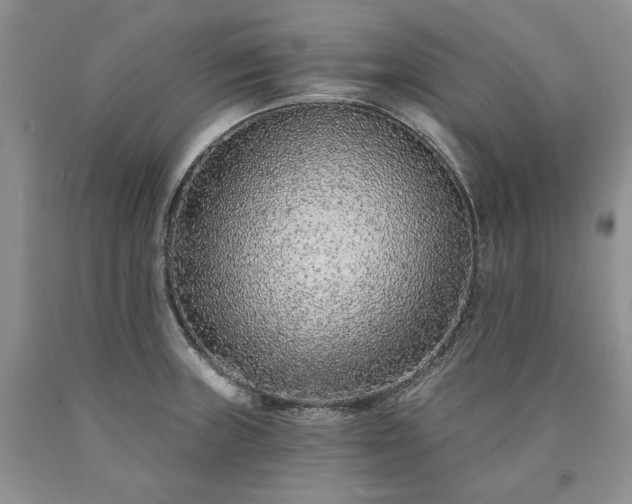 X0000090461235200707201327
