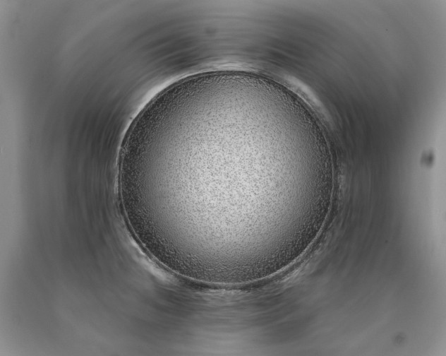 X0000090461236200707201327