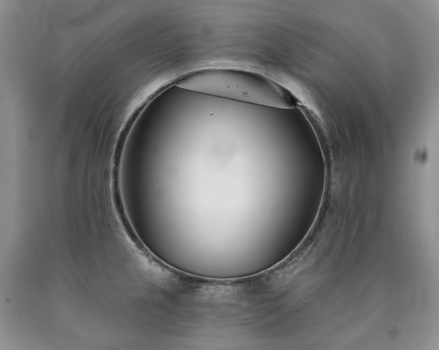 X0000090461237200707201327