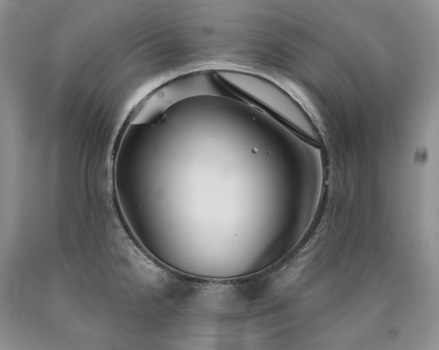 X0000090461238200707201327