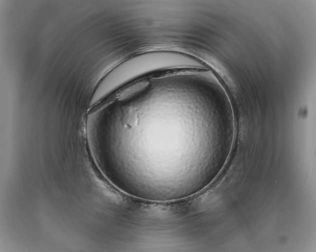 X0000090461241200707201328
