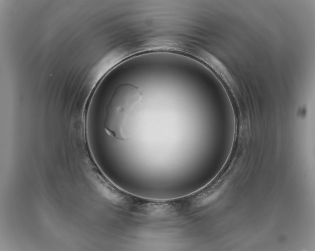 X0000090461242200707201328