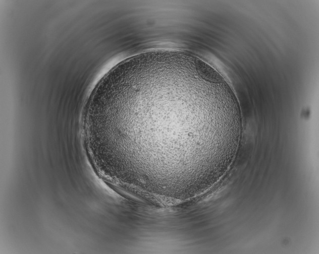 X0000090461243200707201328
