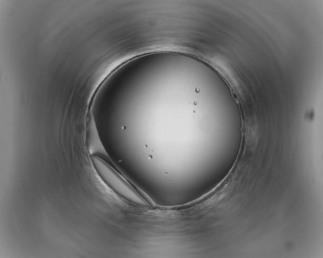 X0000090461244200707201328
