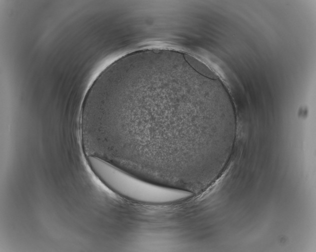 X0000090461247200707201328