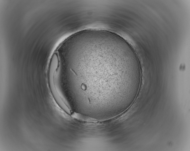 X0000090461248200707201328