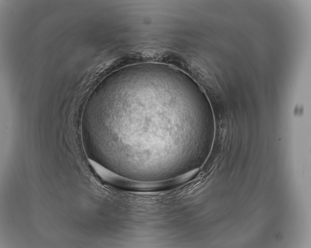 X0000090461249200707201327