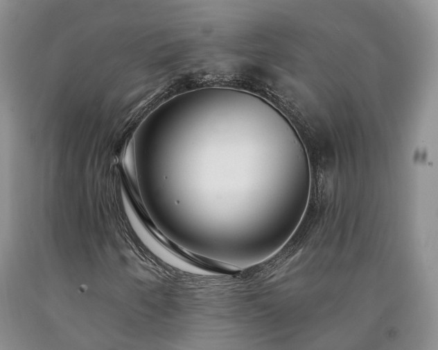 X0000090461250200707201327