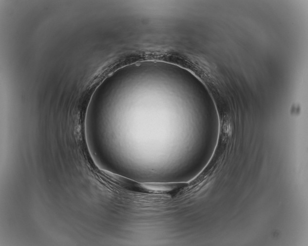 X0000090461252200707201327