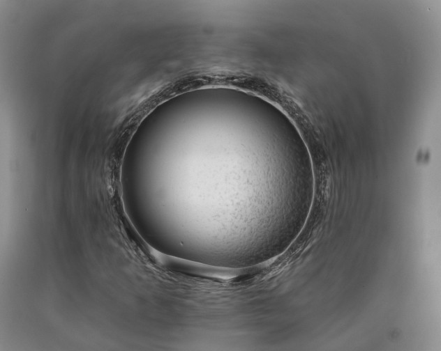 X0000090461253200707201327