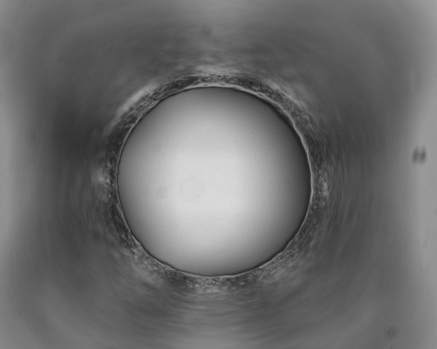 X0000090461254200707201327