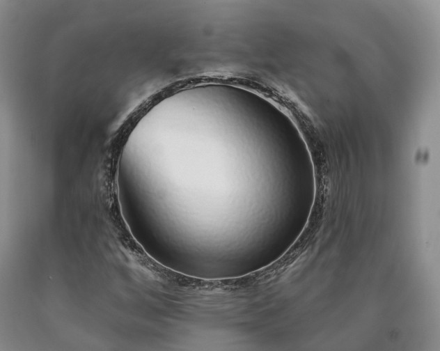 X0000090461256200707201327