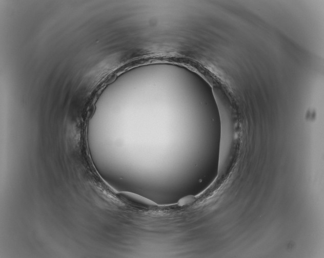 X0000090461257200707201327