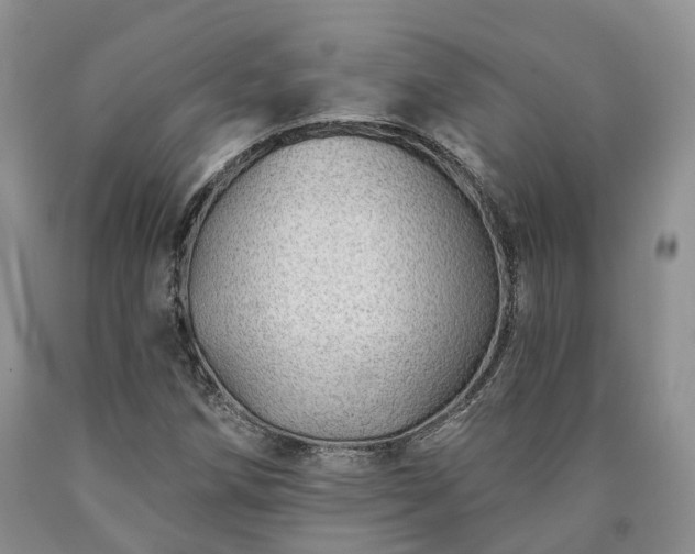 X0000090461258200707201327