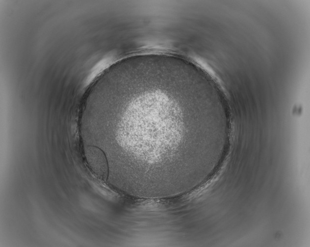X0000090461259200707201327