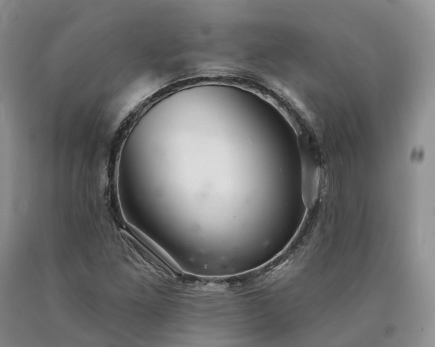 X0000090461261200707201327