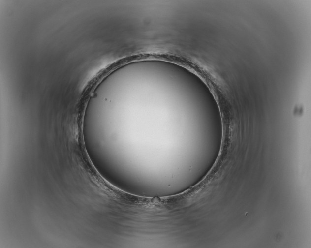 X0000090461262200707201327