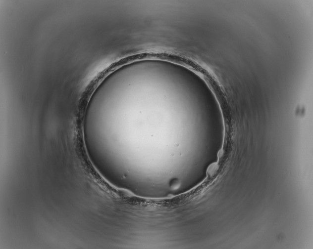 X0000090461263200707201327