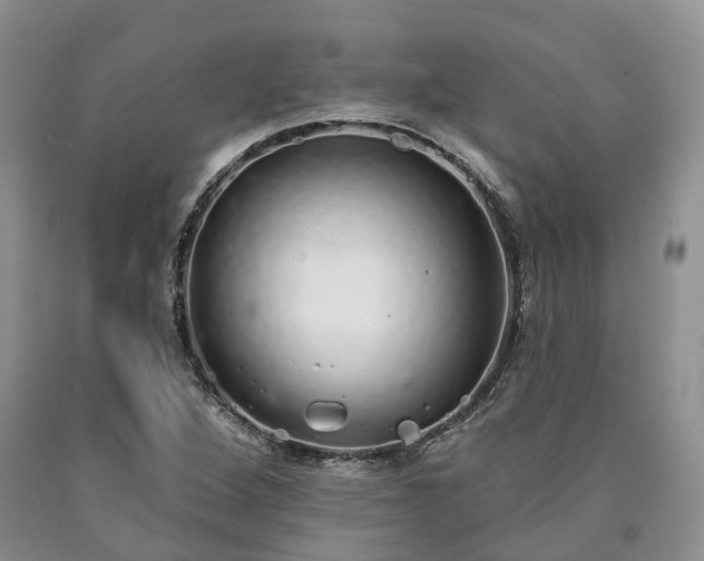 X0000090461264200707201327