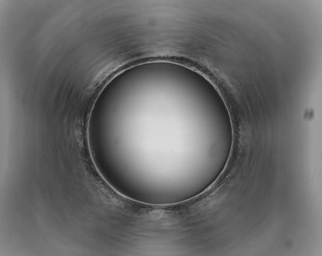 X0000090461265200707201327