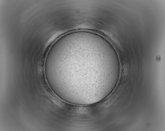 X0000090461266200707201327