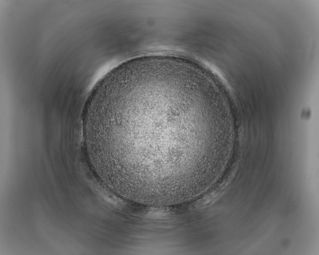 X0000090461267200707201327
