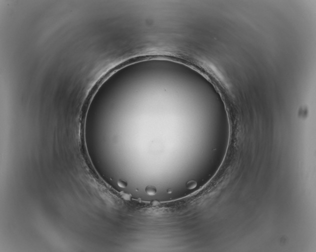 X0000090461268200707201327